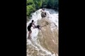 Clip: Du khách thoát chết thần kỳ sau khi rơi xuống thác nước 