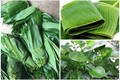 3 loại lá rụng đầy vườn ở Việt Nam, ra nước ngoài “đắt như vàng“