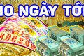 10 ngày tới: 3 tuổi như Hổ mọc thêm cánh công danh thăng tiến