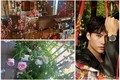 Ngôi nhà ngập hoa của cháu trai gia tộc giàu bậc nhất Việt Nam 
