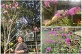 Khu vườn rực sắc hoa trong biệt thự 1.000m2 của NSND Thanh Hoa