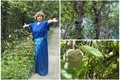 Lạc lối trong khu vườn trĩu quả “vạn người mê” của NSND Thanh Hoa 