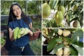 Mê tít khu vườn trên cao “siêu trái” của Diệp Bảo Ngọc 