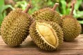 Sầu riêng đắt “khủng khiếp” 1,2 tỷ đồng/trái ngon cỡ nào?