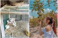 Bên trong nhà vườn 20.000m2 “chỉ để nuôi gà” của Minh Hằng