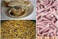 3 đặc sản ví như “thần dược phái mạnh” tiền triệu vẫn hút khách