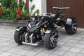 Dân chơi Việt “sốt xình xịch” với môtô 4 bánh giá 80 triệu