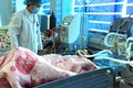 Nạn nhân ngộ độc ở Lai Châu tăng lên 40 người