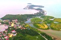 Hải Phòng: Loạt sai phạm trong đầu tư xây dựng công viên Vụng Hương 