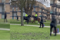 Chó Bully tấn công ngựa của cảnh sát Anh