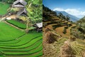 Choáng ngợp "ruộng bậc thang Việt Nam" trên dãy Himalaya