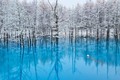 Giải mã hồ nước bí ẩn nhất Nhật Bản