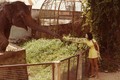 Hình ảnh khó quên về Sài Gòn 1972 của Kemper (2)