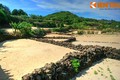 Tận mục ruộng bậc thang lạ lùng giữa biển khơi Lý Sơn