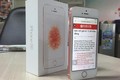 Soi iPhone SE vàng hồng “chính hãng” ở VN