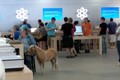 Những hình ảnh hài hước chỉ có tại Apple Store