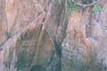 Kỳ bí văn tự cổ trên vách đá giữa đại ngàn Trường Sơn