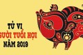 Tử vi tuổi Hợi năm 2019: Phúc hoạ khôn lường, hết sức cẩn trọng