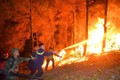 Cận cảnh 20 tiếng trong biển lửa ở vụ cháy rừng thông Hồng Lĩnh