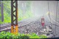 Video: Chạm trán hổ dữ trên đường ray, người đàn ông bỏ chạy thục mạng