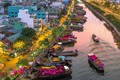 Chợ hoa “Trên bến dưới thuyền” bắt đầu hoạt động phục vụ Tết