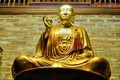 Điều có 1-0-2 của “chốn tổ” phái Phật giáo Tào Động ở Hà Nội