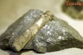 Tận mục "vật chứng của người ngoài hành tinh" tìm được ở Việt Nam
