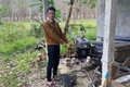 Quảng Bình: Mới ra tù lại tiếp tục “hành nghề” trộm cắp