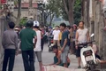 Quảng Bình: Trâu điên tấn công làm 3 người thương vong