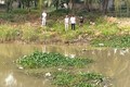 Bàng hoàng phát hiện thi thể người phụ nữ dưới sông Cầu Giát