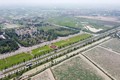 Trong 1 tuần, huyện Mê Linh thu về 250 tỷ từ đấu giá đất