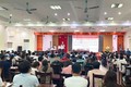 Chương Mỹ đấu giá thành công 19 lô đất, cao nhất 115 triệu/m2