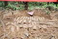 Phát hiện hầm đạn “khủng” cách mặt đất 5cm ở Quảng Trị
