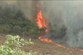 Hàng loạt vụ cháy rừng ở Quảng Bình, Nghệ An, Hà Tĩnh