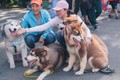 Lễ hội cún cưng 2019 tại Sài Gòn quy tụ hàng trăm chú chó đẹp