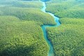 Trước trận cháy kỷ lục, rừng nhiệt đới Amazon đẹp thế nào?