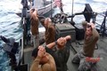Video: Lực lượng Iran bị gọi là khủng bố từng bắt 10 binh sĩ Mỹ quỳ gối thế nào?