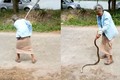 Video: Thấy rắn ăn thịt cóc, bà cụ làm điều khiến dân mạng sửng sốt