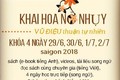 Có hay không khóa học 15 triệu để sinh con “thuận tự nhiên”?