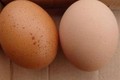 Tuyệt đối không mua loại trứng có những dấu hiệu lạ này  
