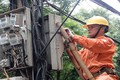 Thợ điện Thủ đô nỗ lực khôi phục lưới điện sau bão 