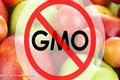 Phong trào phản đối thực phẩm GMO có đi ngược lại khoa học?