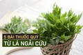 Video: 5 cách dùng hiệu quả biến ngải cứu thành “thần dược” 