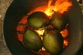 Video: Thuốc chữa dạ dày thần kỳ từ việc để quả dừa nướng trên bếp