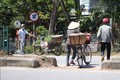 Xử lý điểm đen giao thông nhiều tai nạn chết người tại Quảng Nam