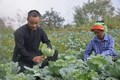 Một nông dân ở Hà Giang hết nghèo nhờ mô hình kinh tế tổng hợp