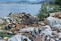 Vịnh Mân Quang nhếch nhác, bị bủa vây bởi đủ loại rác 