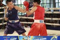 “Bóng hồng” so găng kịch tính tại giải Boxing tranh đai Number 1