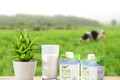 TH True Milk “hữu cơ hóa” ngành sữa Việt! 