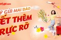 Đưa Xuân đi khắp mọi miền với dịch vụ vận chuyển mai, đào của Vietjet dịp Tết 2024